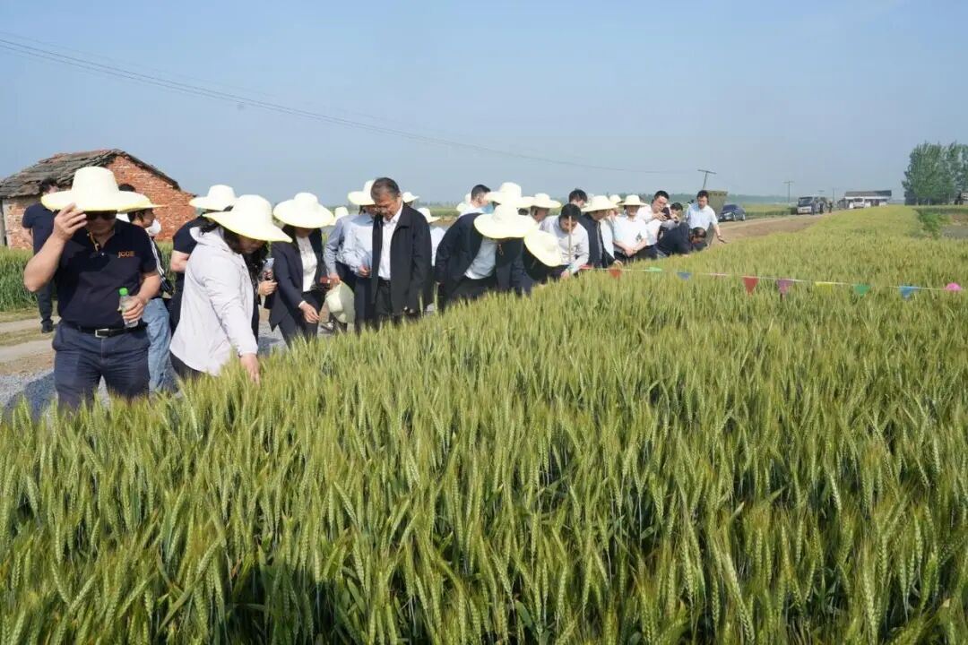 我国在绿色农药创制与应用方面取得重要进展