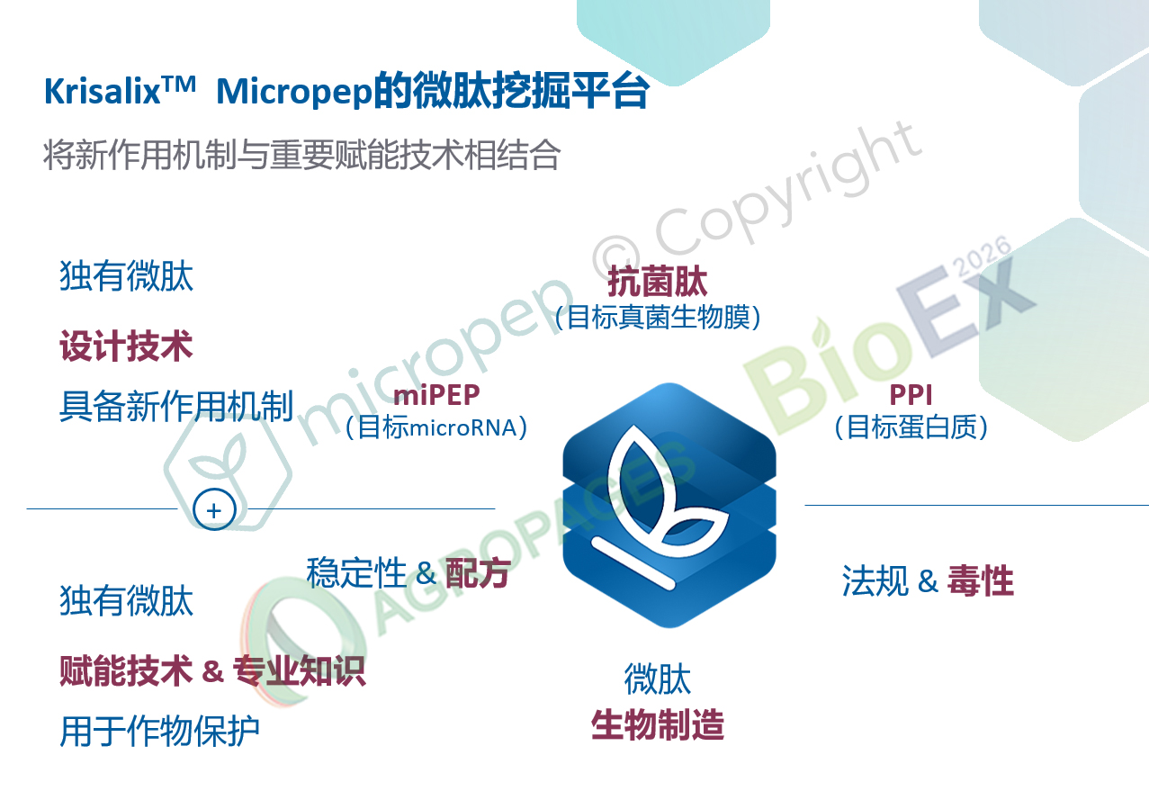 藏在氨基酸链里的农业革命：肽，正在填补化学农药退场后的真空