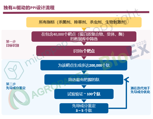 藏在氨基酸链里的农业革命：肽，正在填补化学农药退场后的真空