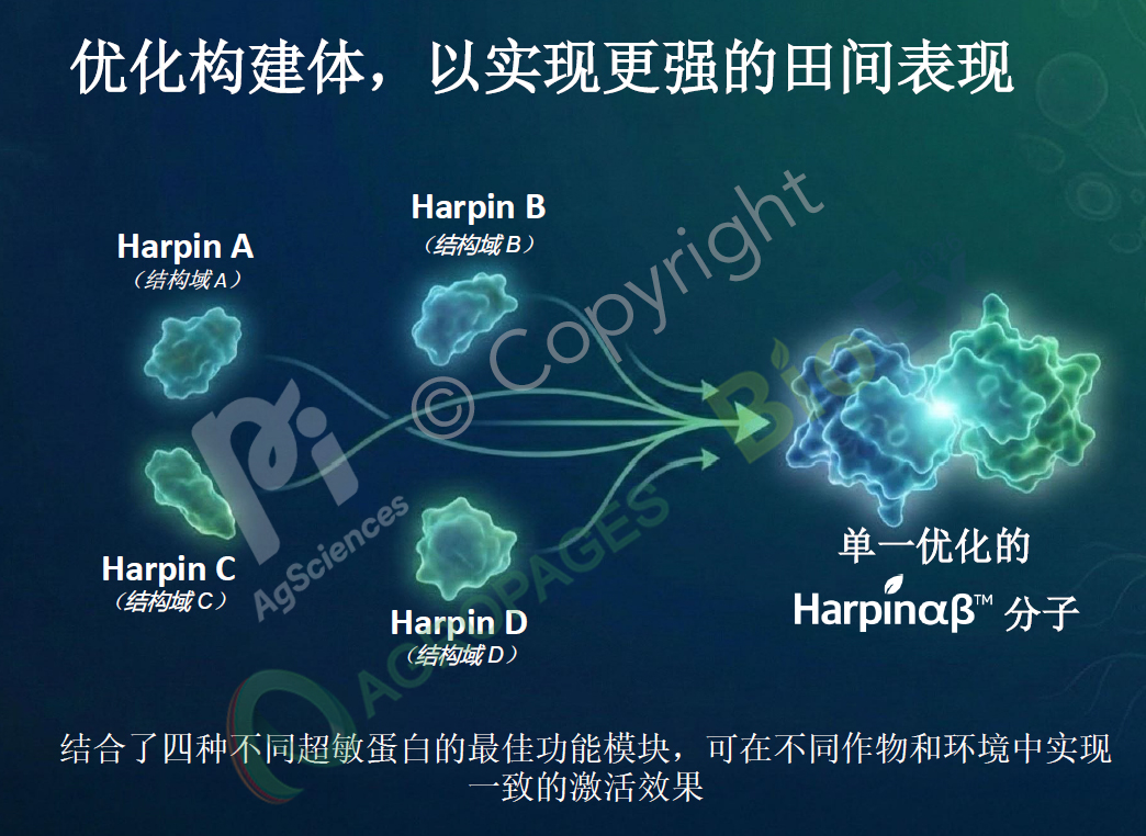 藏在氨基酸链里的农业革命：肽，正在填补化学农药退场后的真空