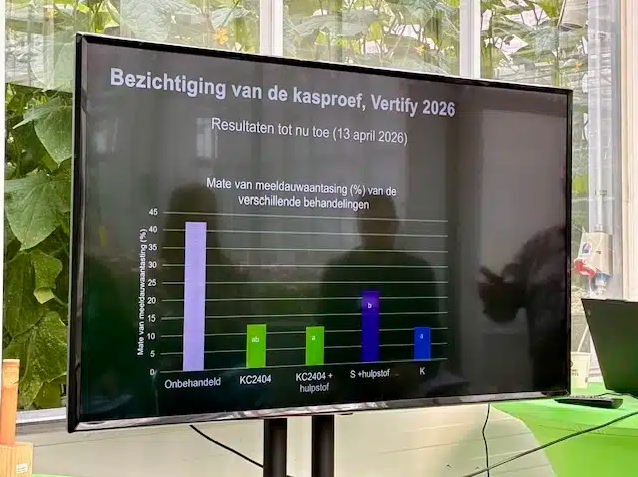 激活植物免疫 + 直接抑菌：科伯特新生物杀菌剂三季度有望海外获登
