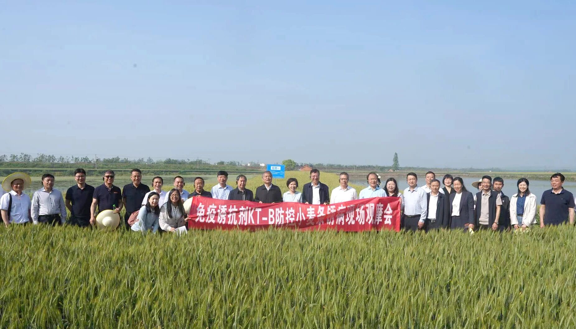 中保集团助力重大科技成果转化：免疫诱抗剂KT-B筑牢小麦病害防控屏障