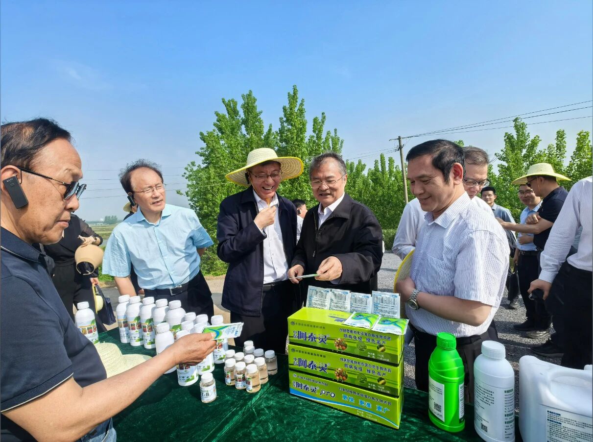中保集团助力重大科技成果转化：免疫诱抗剂KT-B筑牢小麦病害防控屏障