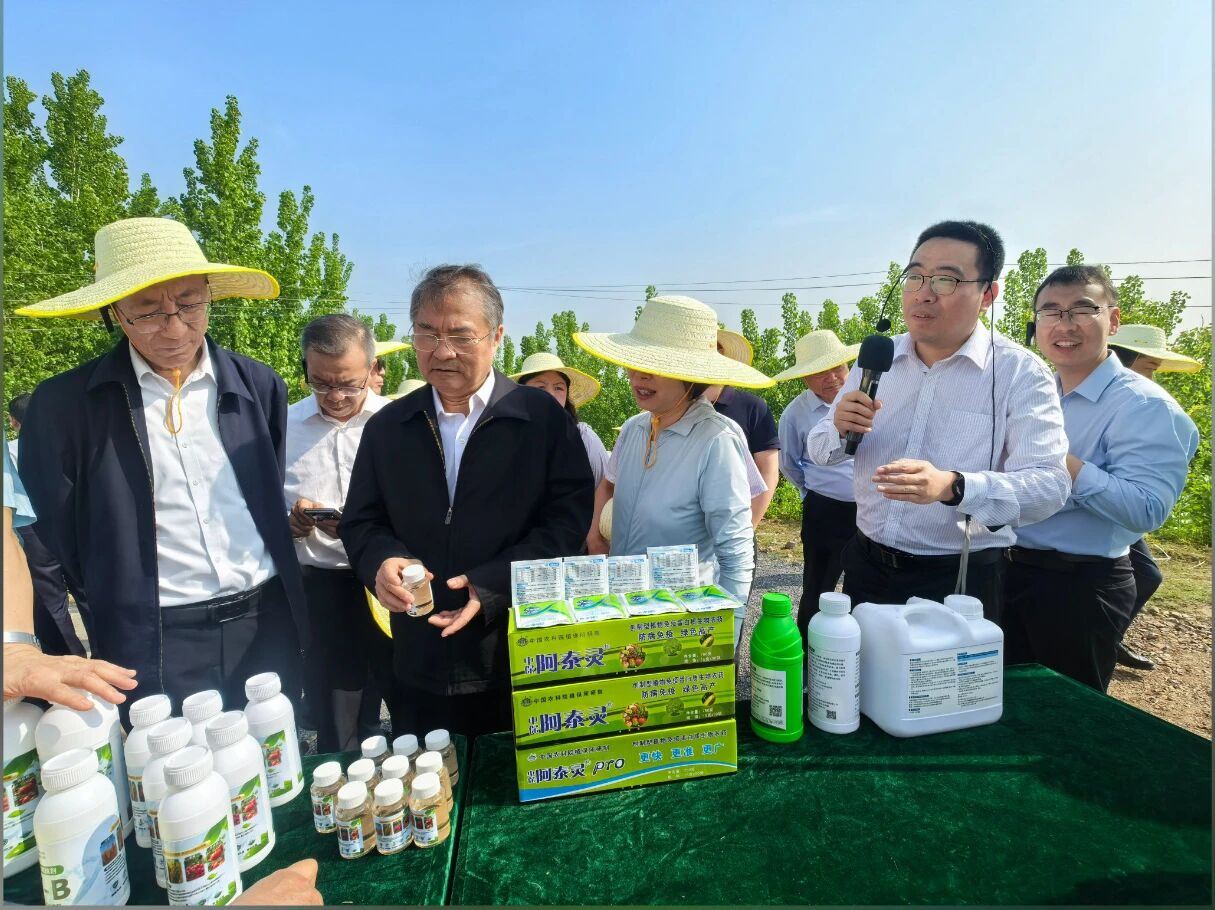 中保集团助力重大科技成果转化：免疫诱抗剂KT-B筑牢小麦病害防控屏障