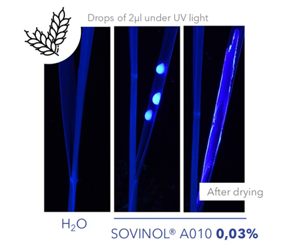 比利时Minagro Sovinol® A 系列内置助剂：无聚合物设计，实现高效与环保双重突破