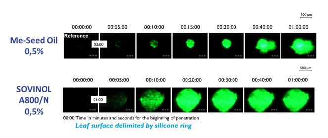 比利时Minagro Sovinol® A 系列内置助剂：无聚合物设计，实现高效与环保双重突破