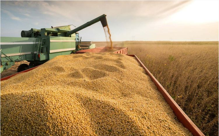 中粮集团将投资4亿美元在巴西建设最大的大豆压榨厂