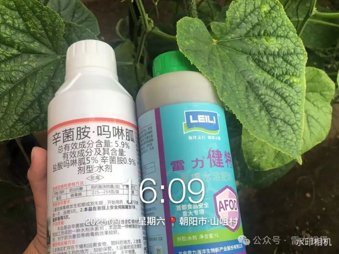 雷力健佰：基于双寡糖免疫诱抗与营养强化的作物绿色防控新模式