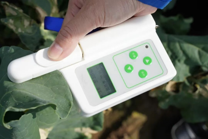 雷力健佰：基于双寡糖免疫诱抗与营养强化的作物绿色防控新模式