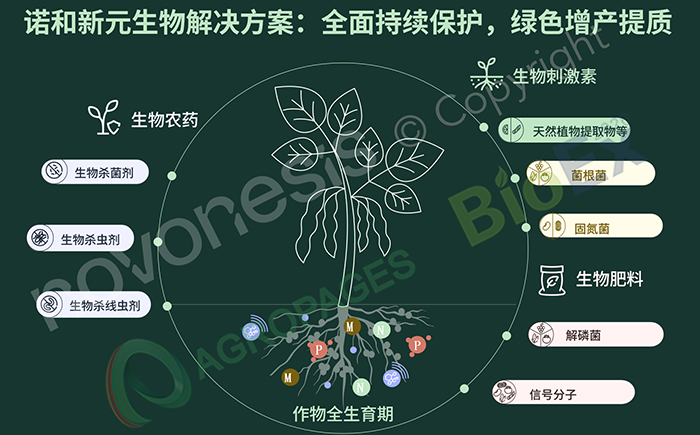 生物农业的"中国式转身"——技术供给、渠道整合、范式重构，跨国巨头在如何布局？
