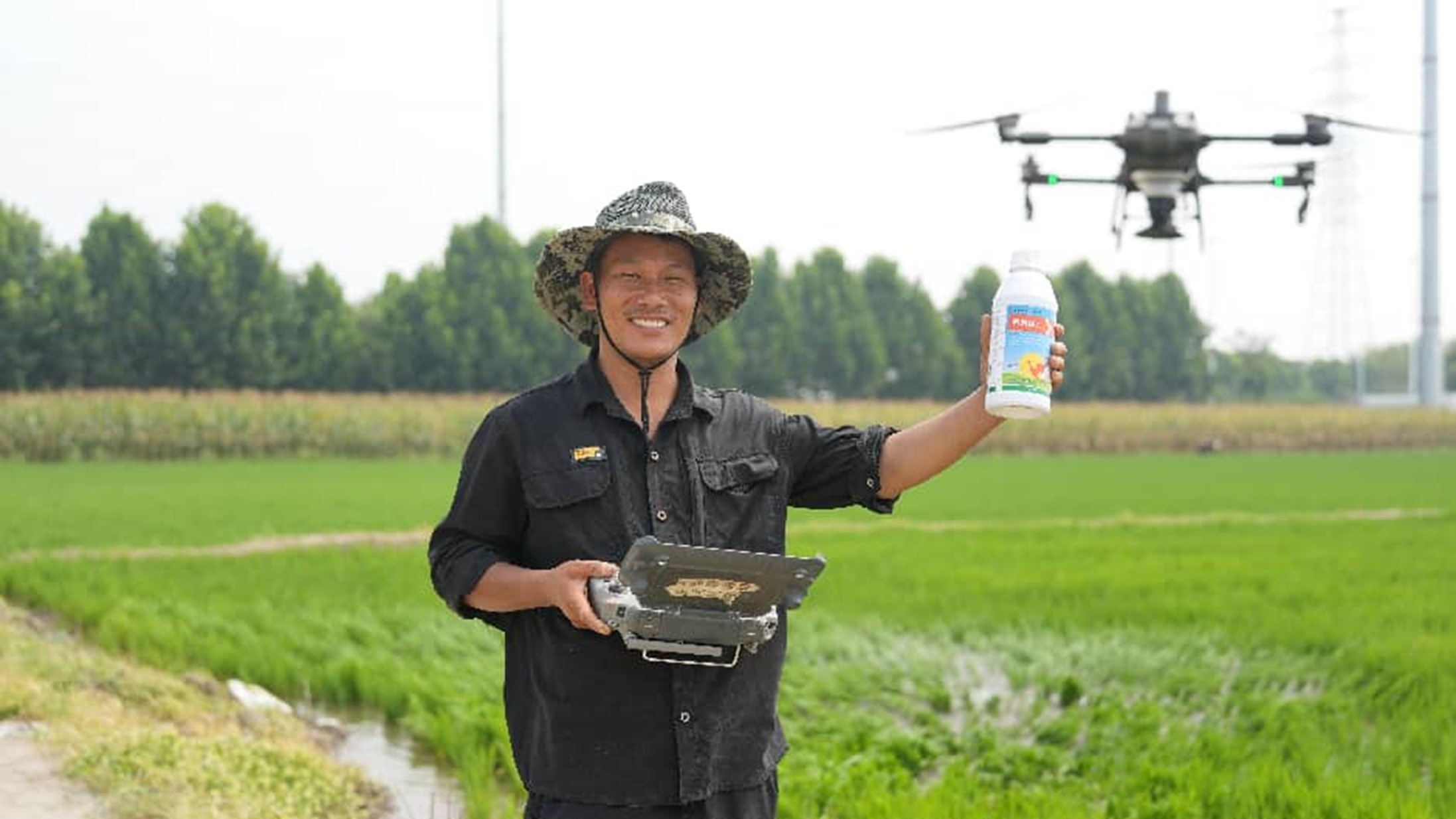 清原氟砜草胺：开启水稻除草新篇章