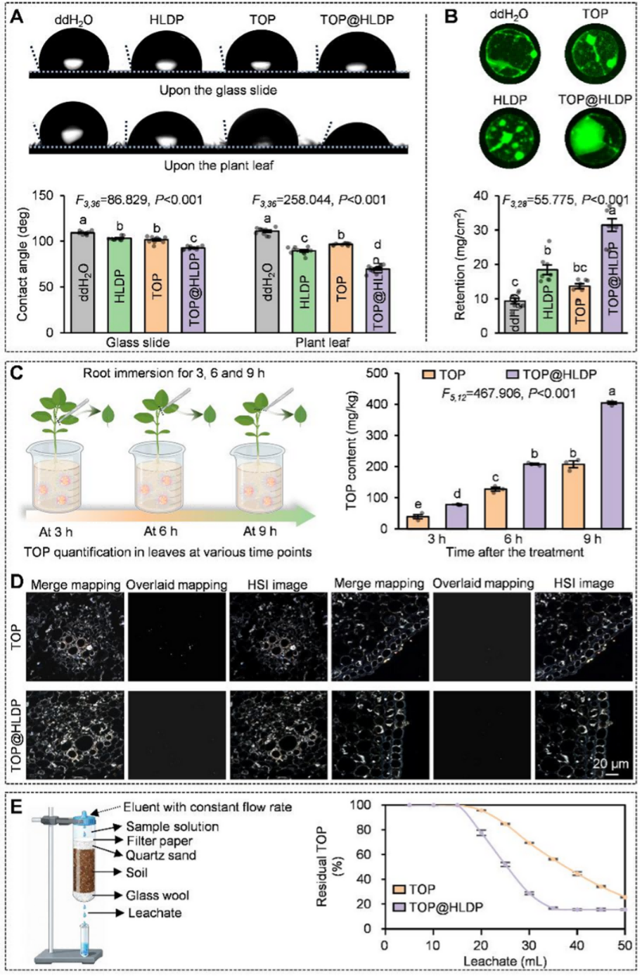 中国农大团队研发出基于HLDP的苯唑草酮纳米制剂，高效防治入侵杂草假苍耳