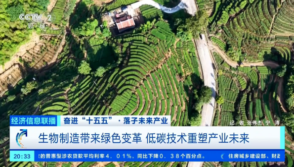 CCTV聚焦慕恩生物：36万“中国菌”撬动万亿生物制造未来