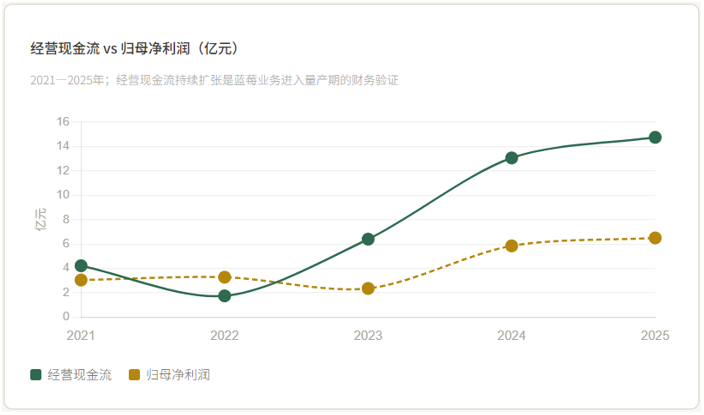 当蓝莓撑起一家农药公司近半收入：诺普信五年年报深度拆解