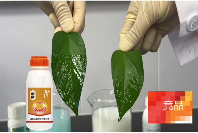 果蔬蓟马头号粉丝小蓟马抗性大怎么办？快用亿嘉刻敌®