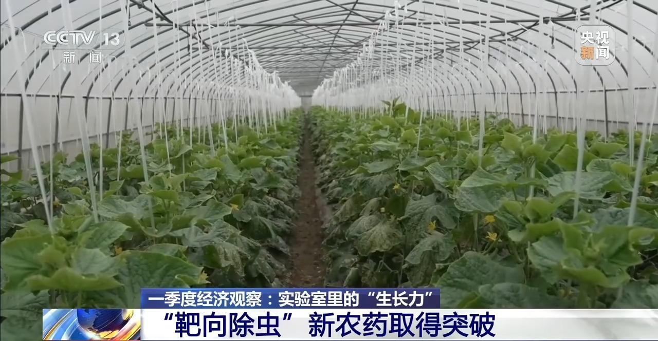 央视聚焦 | 育种提速、新农药突破 “大国粮仓”再添硬核底气