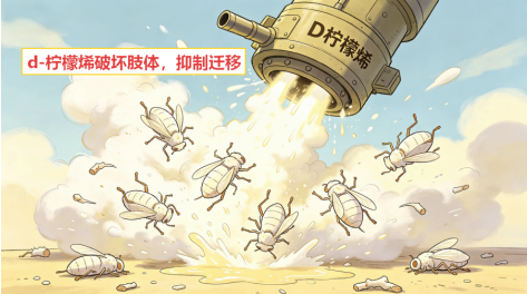 新发现颠覆认知！d-柠檬烯长效控虫秘密，藏在″肢体致残″里