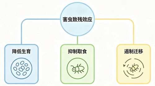 新发现颠覆认知！d-柠檬烯长效控虫秘密，藏在″肢体致残″里