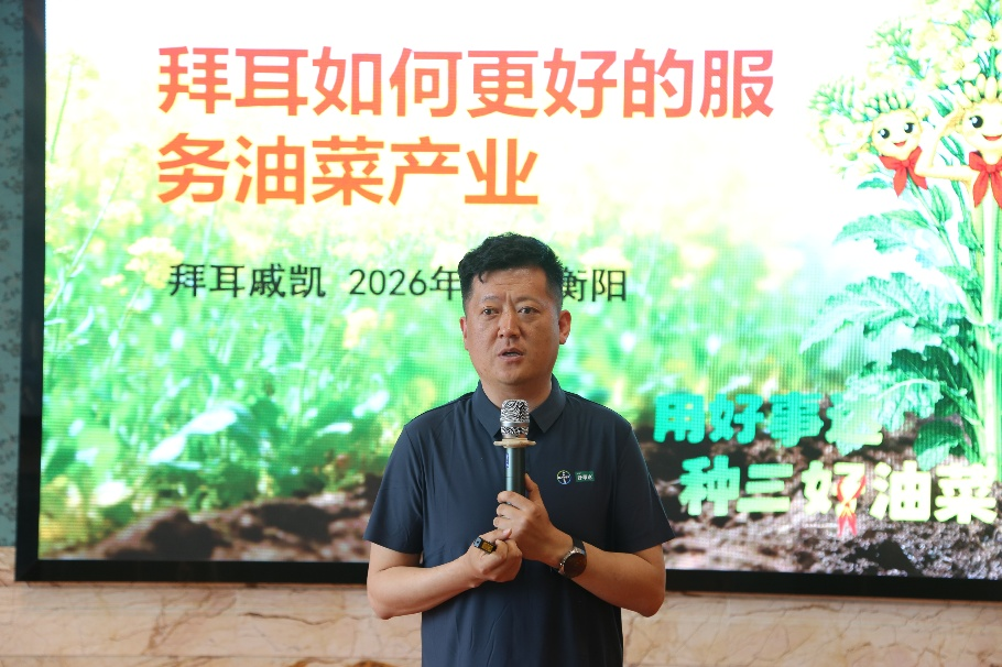 破解油菜菌核病防治难题,拜耳好事达3年田间试验展现稳产增收巨大潜力