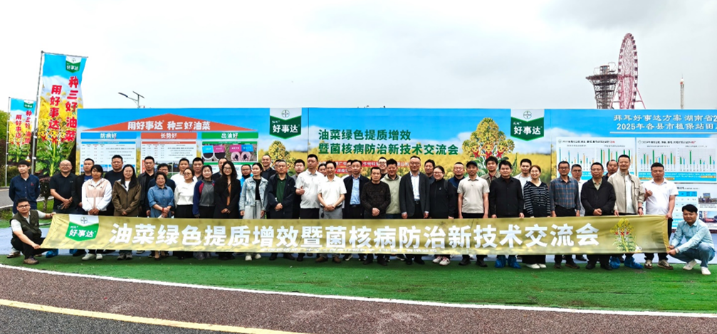 氟吡菌酰胺出击，拜耳"好事达"五年五省验证破解油菜菌核病防控难题