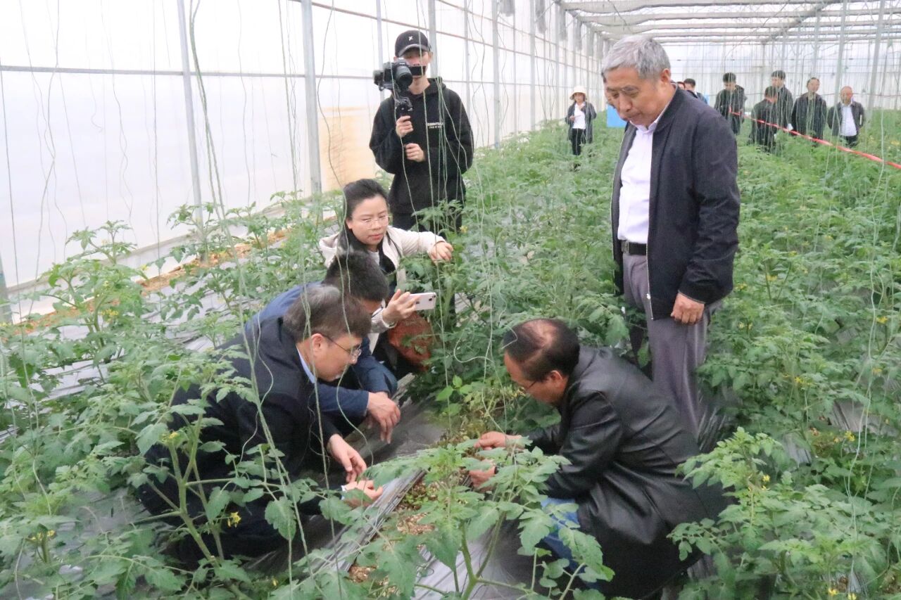 多位专家院士高度评价这款创制新药的优异表现