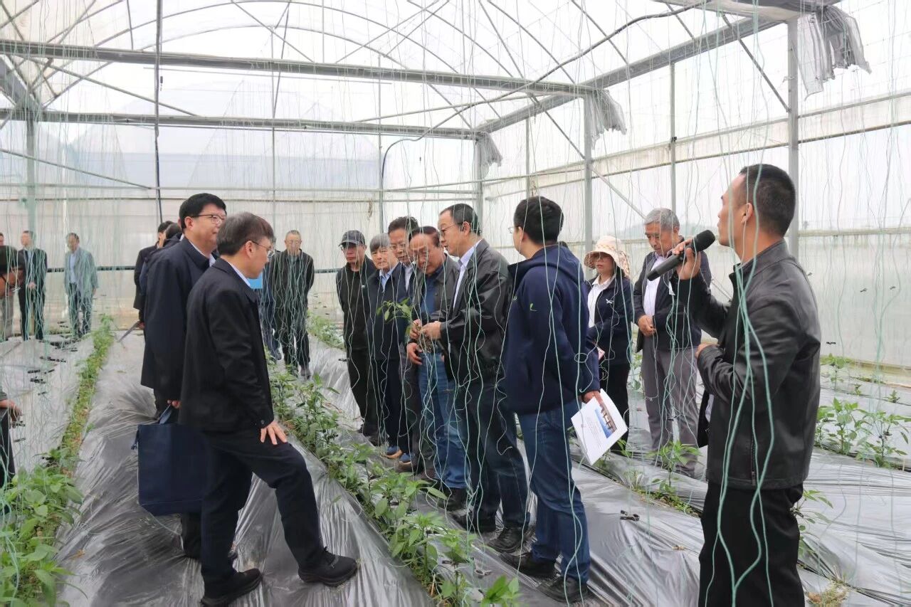 多位专家院士高度评价这款创制新药的优异表现