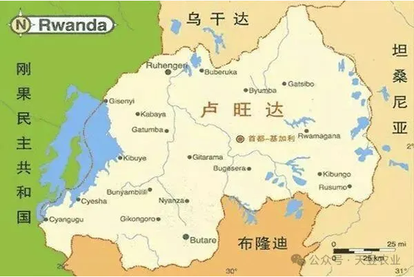 ‌非洲中东部国家卢旺达的农业种植和农药登记要求
