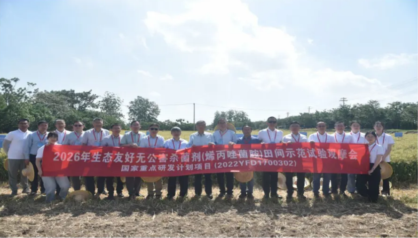 中旗股份创制SDHI杀菌剂烯丙唑菌胺进入产业化关键阶段