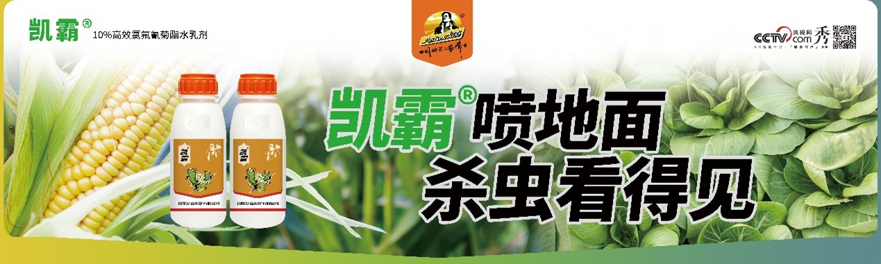 图片1.jpg 霸引诱快、清香不刺激——新一代清香型引诱杀虫剂