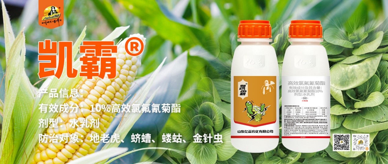 图片3.jpg 霸引诱快、清香不刺激——新一代清香型引诱杀虫剂