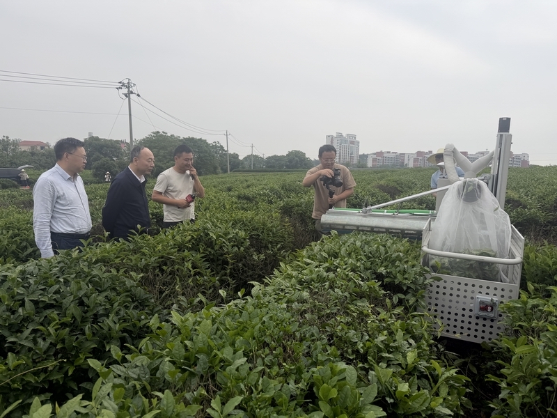 丘陵山区茶叶装备现场观摩活动在南昌举办 助力茶产业高质量发展