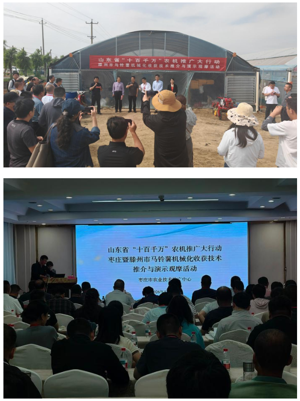 枣庄暨滕州马铃薯机械化收获技术推介与演示观摩活动在滕州举办