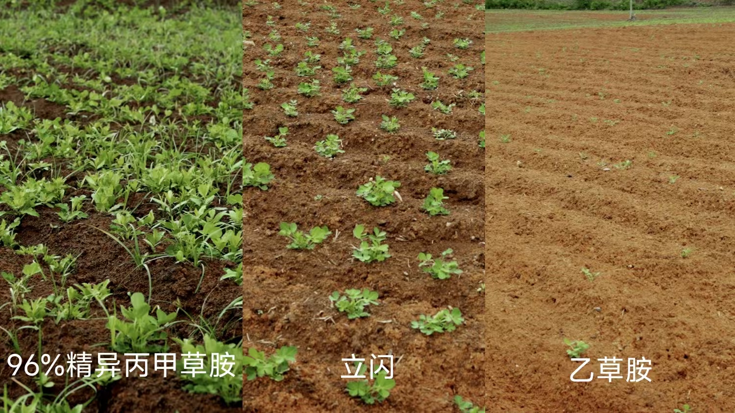 明德立达创新技术赋能,两款品牌产品优势突出