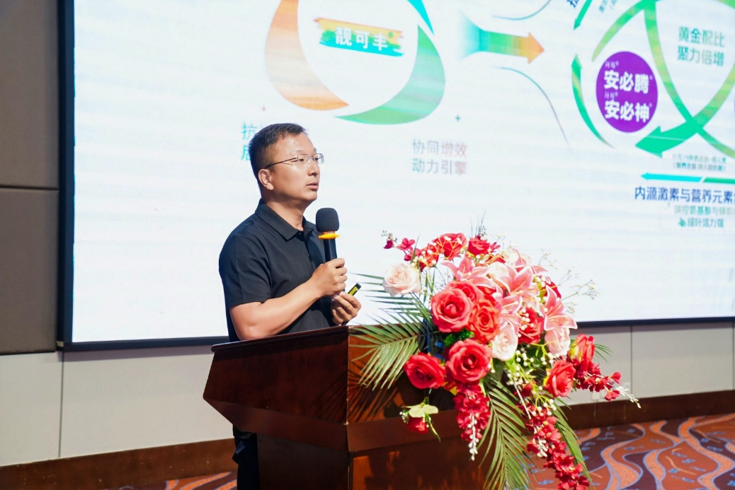 多款核心产品加盟，靓可丰方案品牌隆重上市
