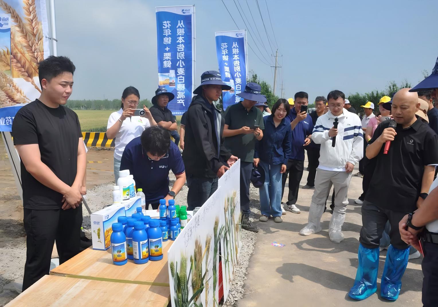 海利尔联合参与省重点研发计划,丙硫菌唑产品防效显著