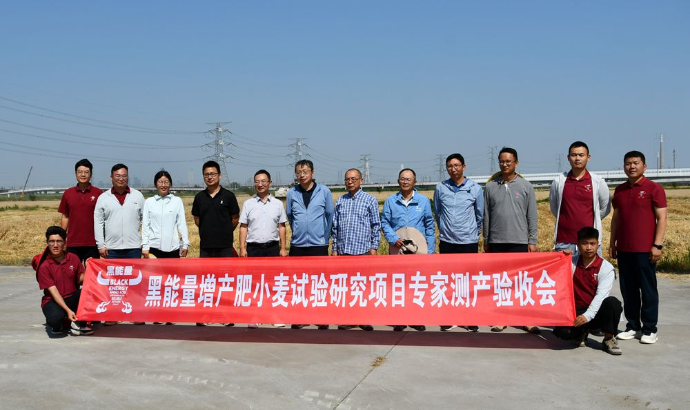 劲增9.46%,南京农业大学&黑能量小麦测产数据新鲜出炉