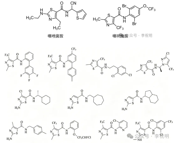 噻唑菌胺——乙氨基噻唑甲酰胺杀菌剂,主攻种子处理靶向卵菌纲病害