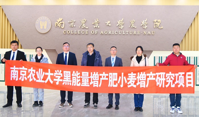 黑能量®助小麦增产9.46%,南京农大等专家现场见证抗逆增产实效