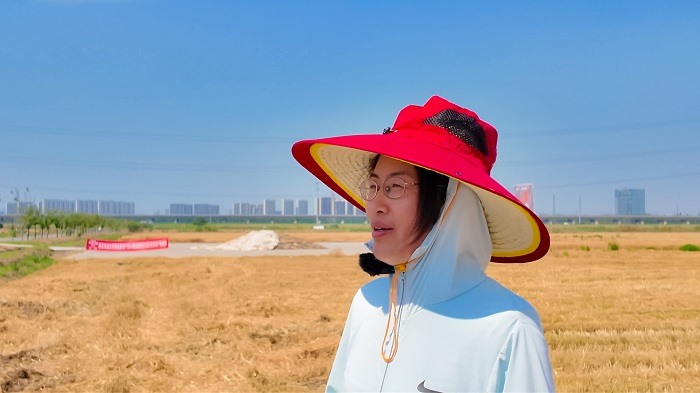 黑能量®助小麦增产9.46%,南京农大等专家现场见证抗逆增产实效