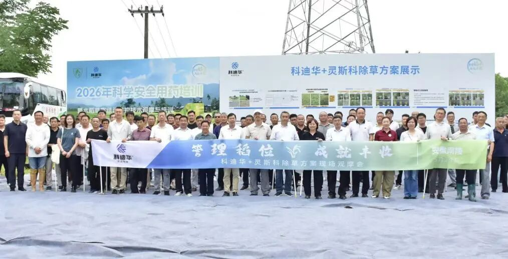 科迪华携手多方力量助力水稻草害治理能力提升
