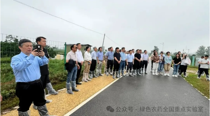 柑橘溃疡病田间防效超83%！贵州大学创新生物药剂截短侧耳素试验效果显著