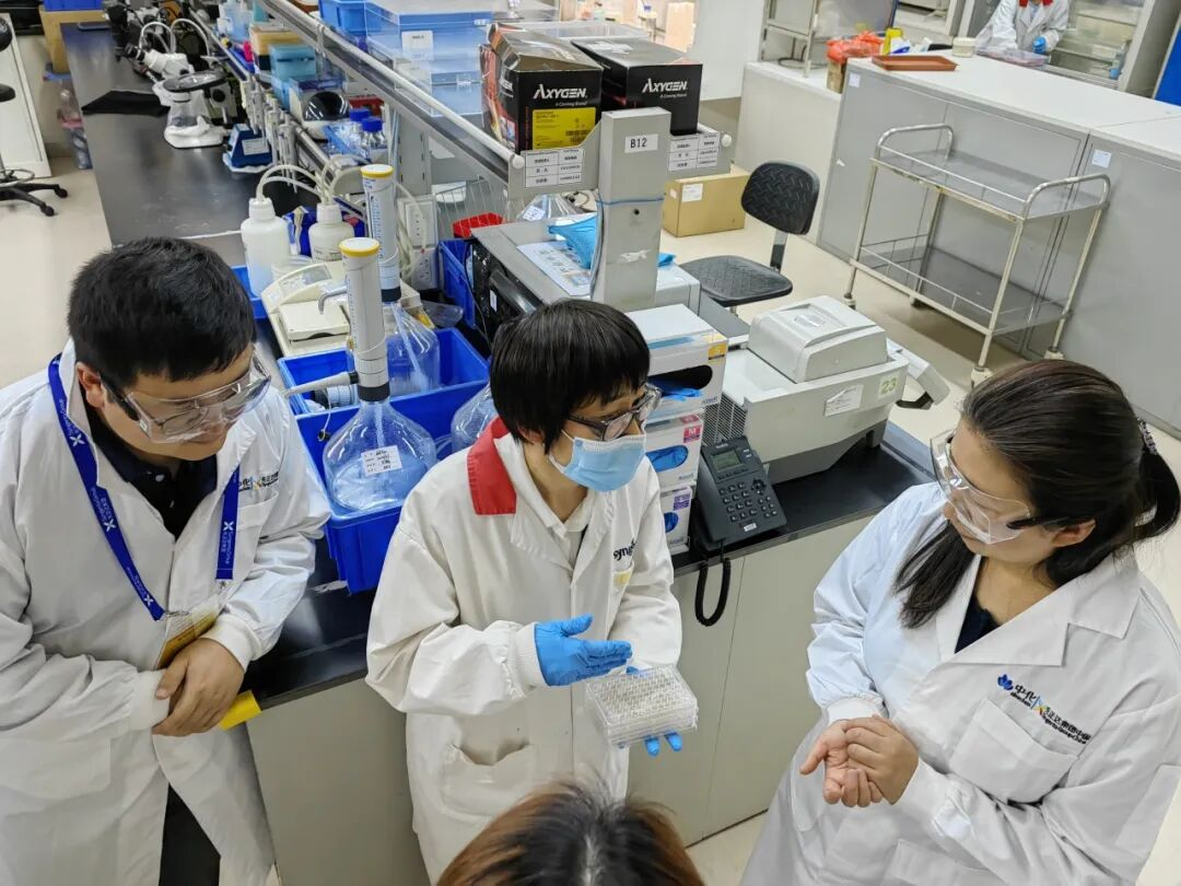 先正达重磅产品氟唑菌酰羟胺、三氟吡啶胺炼成记