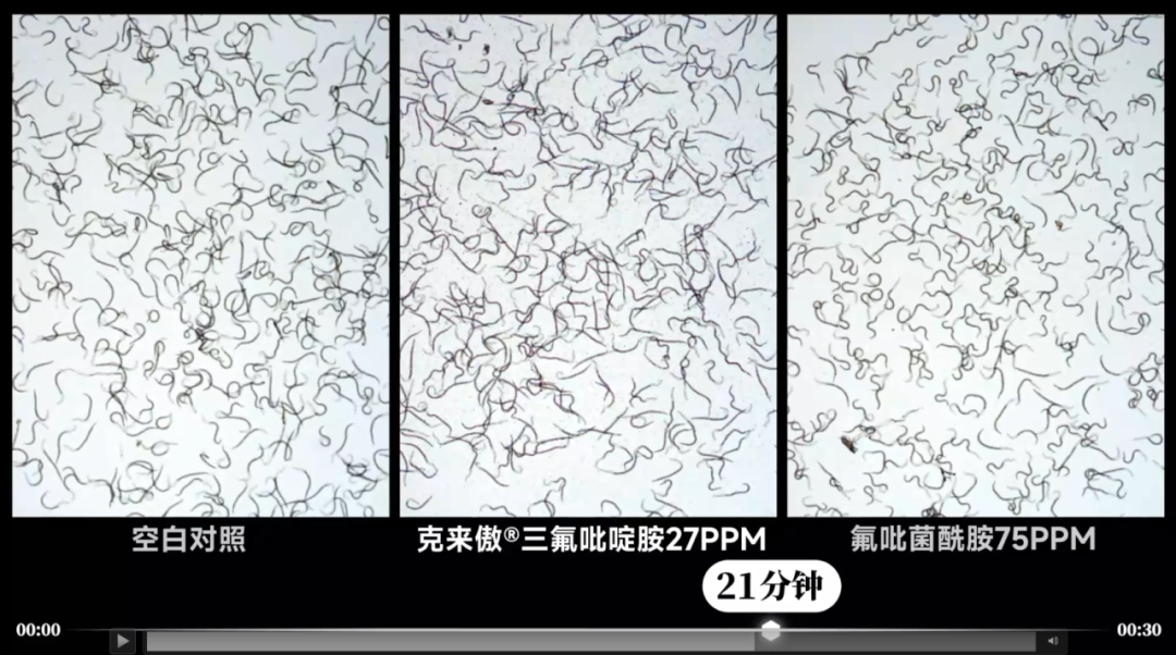 先正达重磅产品氟唑菌酰羟胺、三氟吡啶胺炼成记