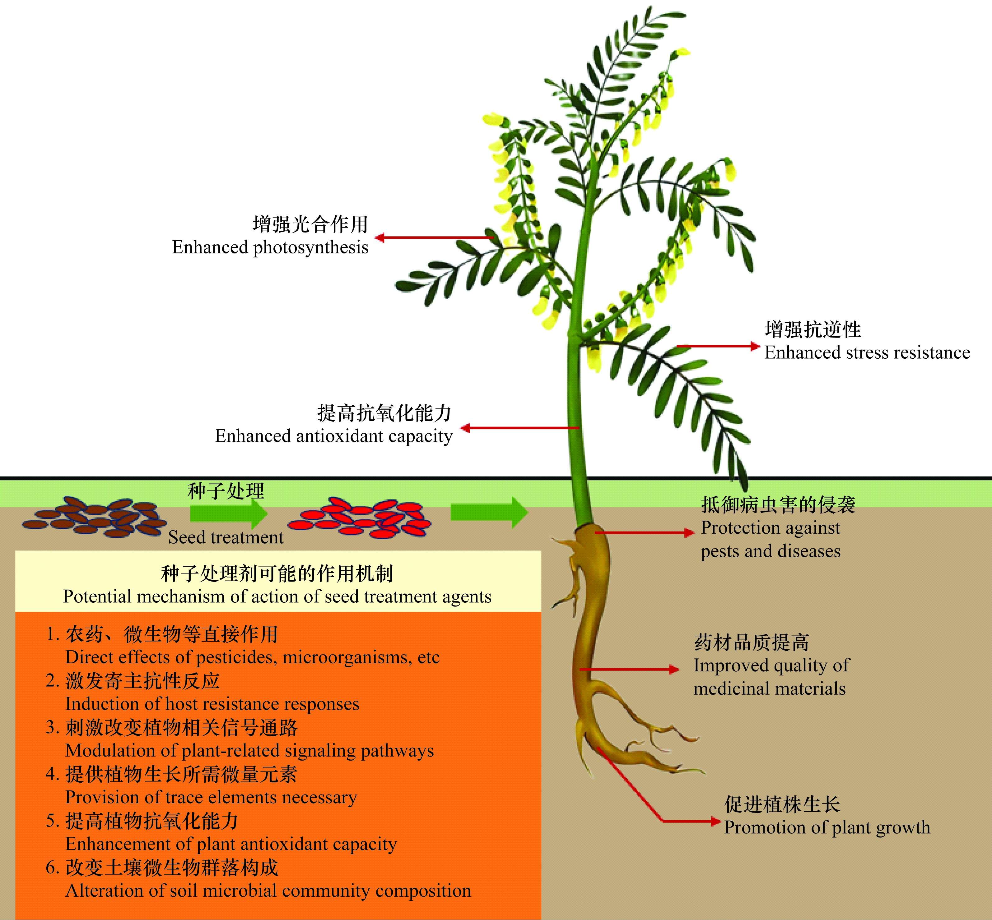 ZWBH202603003_178(1).jpg 中药材种子处理剂农药登记现状