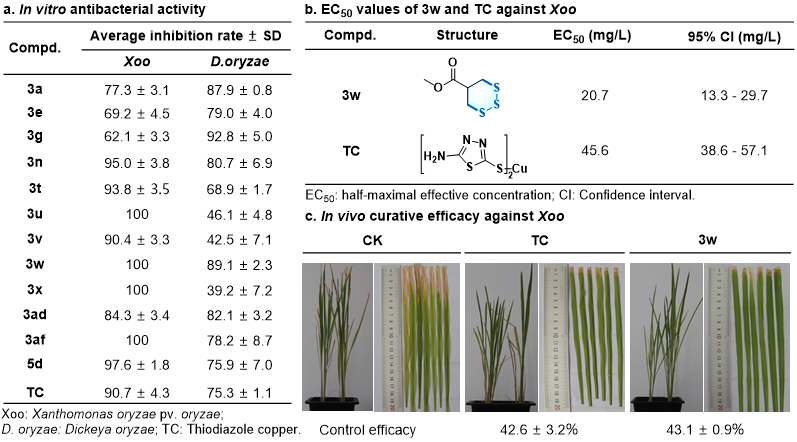 新型创制环三硫醚杀菌剂的最新研究成果