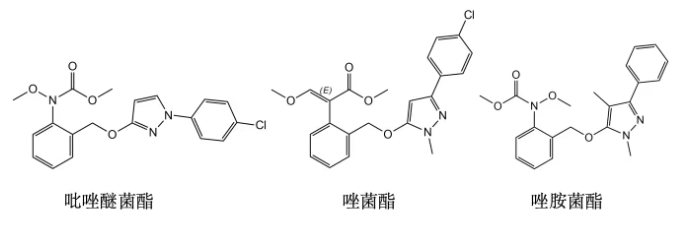 唑胺菌酯：沈阳科创研发的甲氧基氨基甲酸酯类杀菌剂