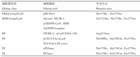 基因编辑技术在水稻抗除草剂种质创新中的应用:抗ALS、ACCase、草甘膦、草铵膦、HPPD……