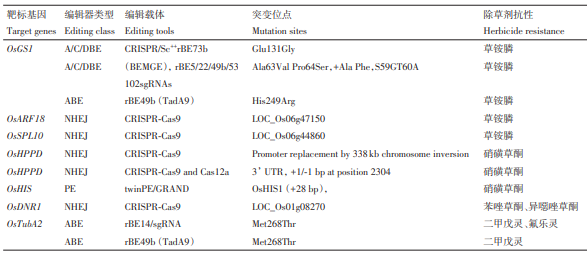 基因编辑技术在水稻抗除草剂种质创新中的应用:抗ALS、ACCase、草甘膦、草铵膦、HPPD……