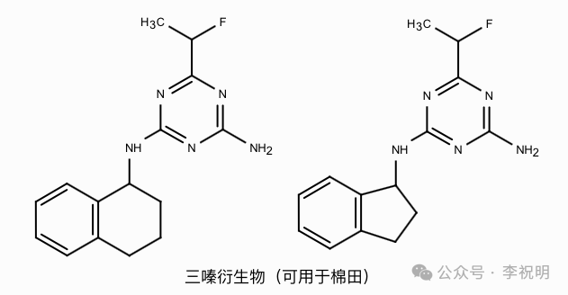 新型三嗪类除草剂——三嗪氟草胺