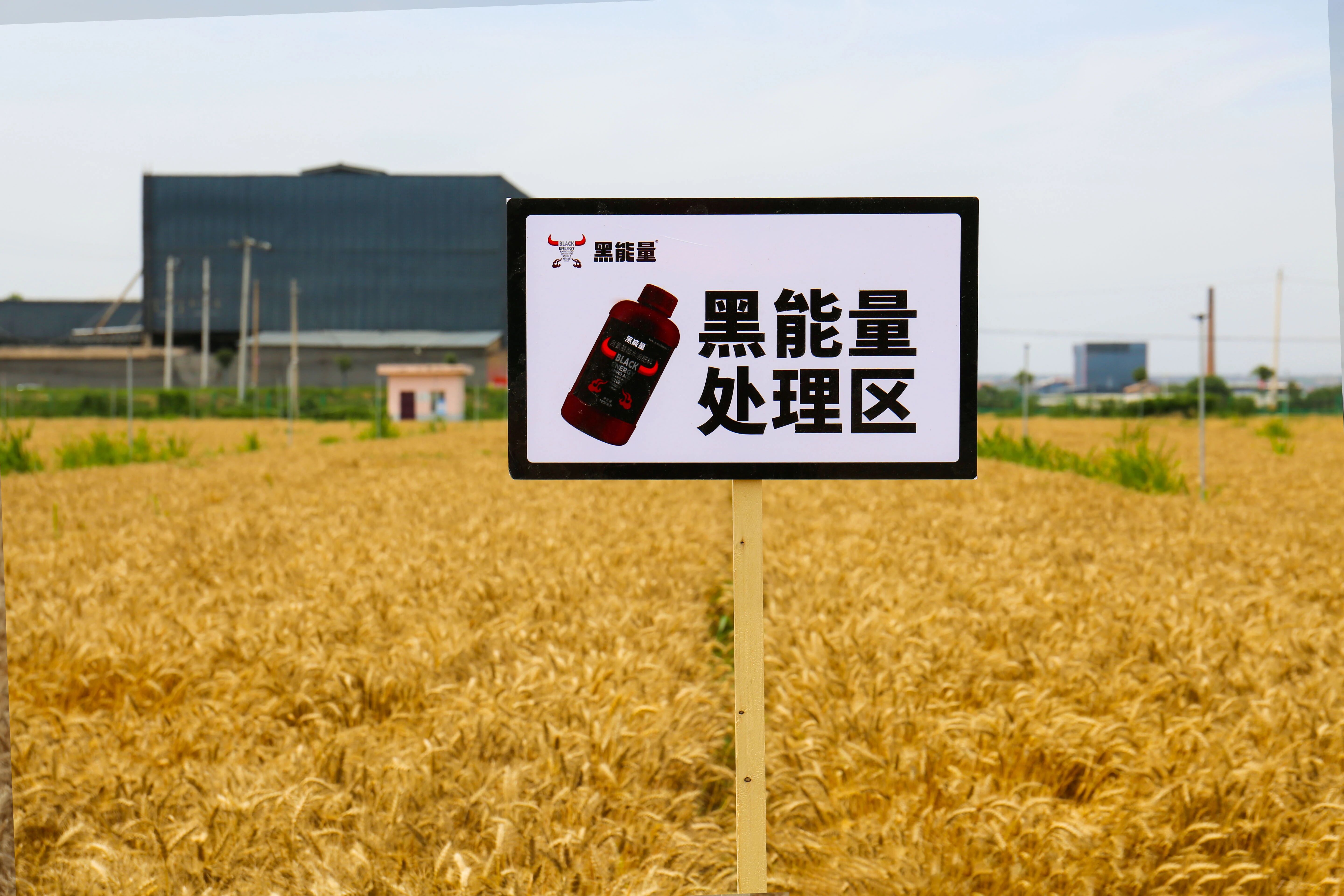 增产10.6%!西北农林科技大学&黑能量合作项目取得新进展